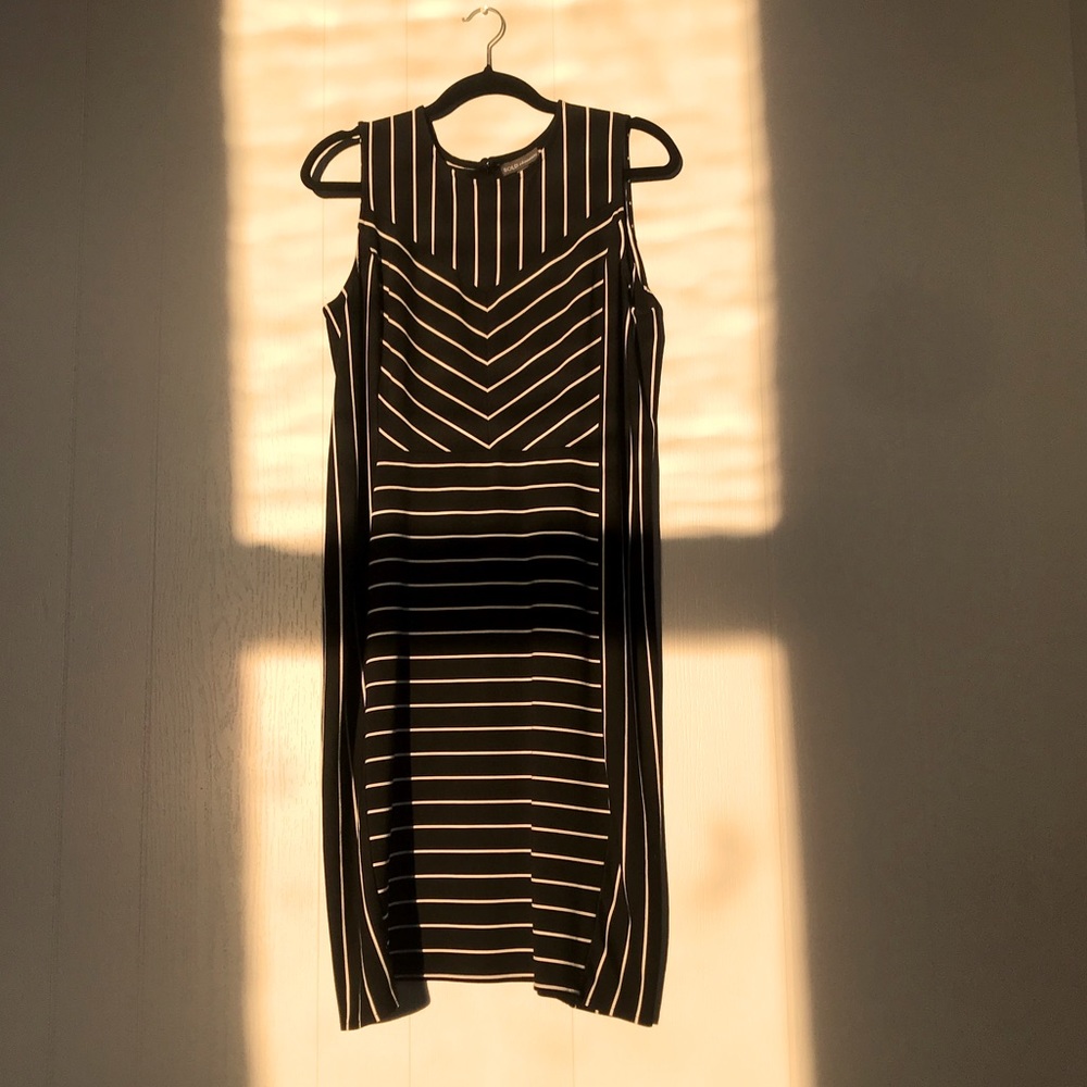 Bold Elements Striped Dress